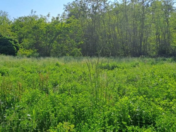 casa indipendente in vendita a Varallo Pombia