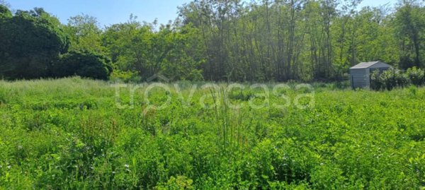 casa indipendente in vendita a Varallo Pombia