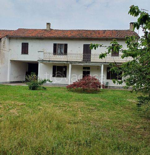 terreno agricolo in vendita a Vespolate