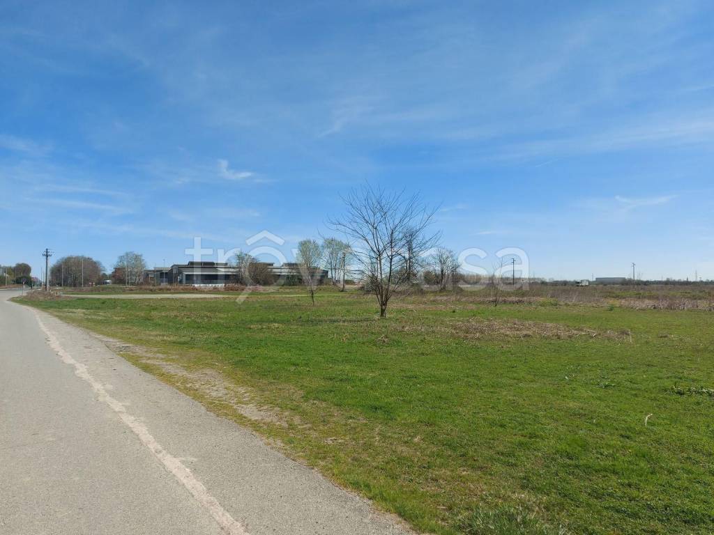 terreno agricolo in vendita a Vicolungo