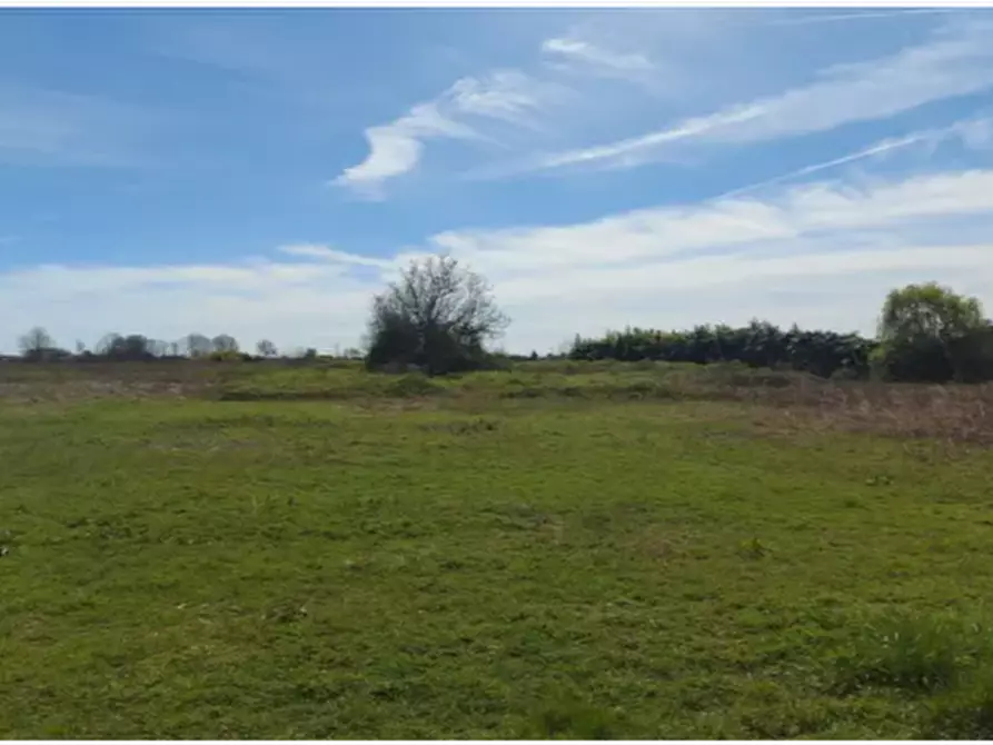 terreno agricolo in vendita a Vicolungo