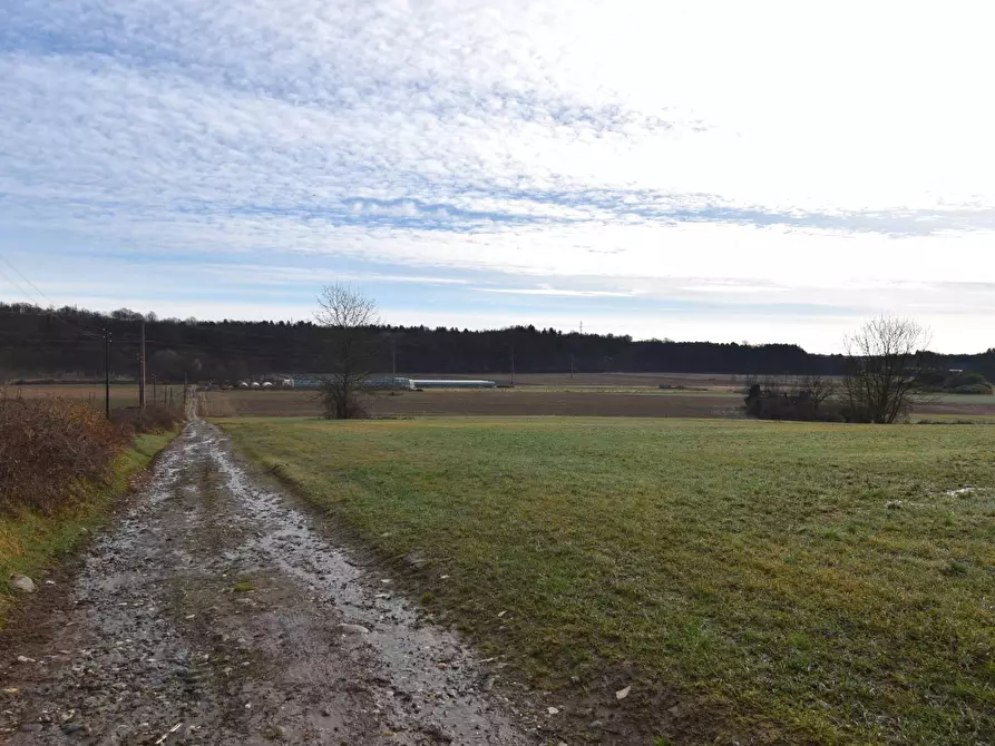 azienda agricola in vendita a Gattico-Veruno in zona Gattico
