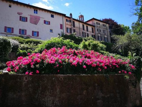 pentavano in vendita a Gattico-Veruno in zona Revislate