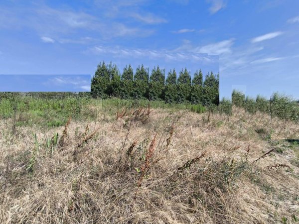 terreno edificabile in vendita a Gattico-Veruno in zona Revislate