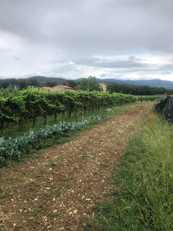 terreno agricolo in vendita ad Anghiari in zona Motina