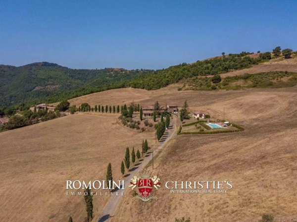 negozio in vendita ad Anghiari