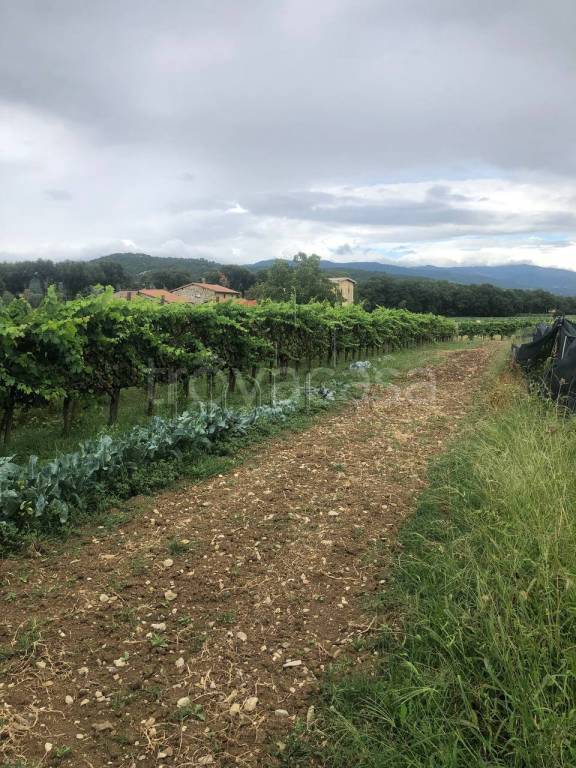 terreno agricolo in vendita ad Anghiari