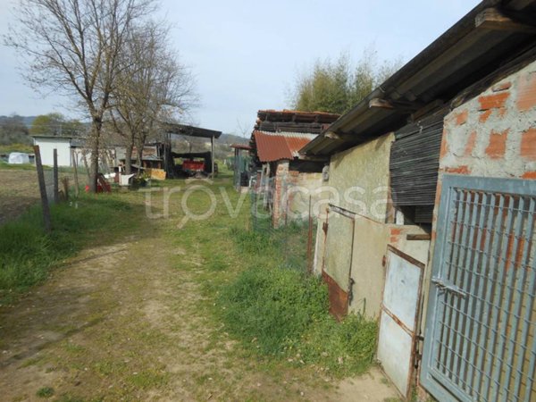 terreno agricolo in vendita ad Arezzo in zona Pratantico-Indicatore