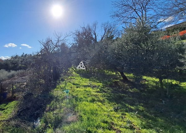 terreno agricolo in vendita ad Arezzo in zona Molinelli