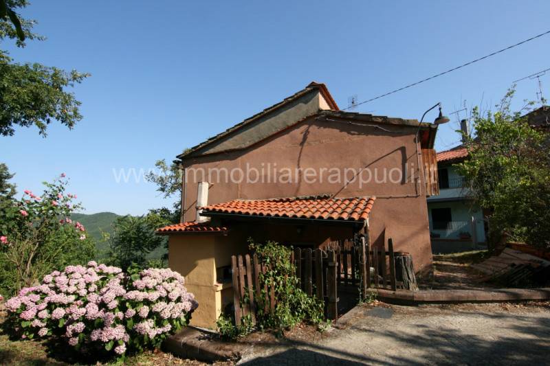 casa indipendente in vendita ad Arezzo in zona Palazzo del Pero