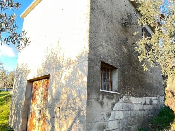terreno agricolo in vendita ad Arezzo in zona San Zeno