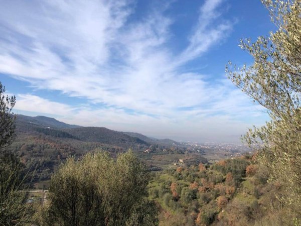 terreno agricolo in vendita ad Arezzo