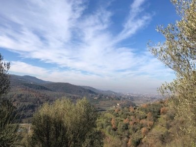 terreno agricolo in vendita ad Arezzo