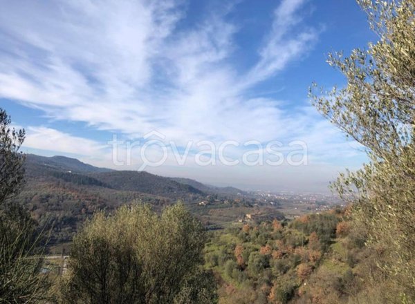 terreno agricolo in vendita ad Arezzo