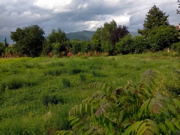 terreno agricolo in vendita ad Arezzo in zona San Zeno