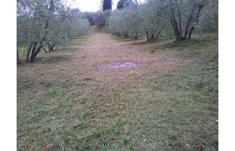 terreno agricolo in vendita ad Arezzo in zona Ceciliano