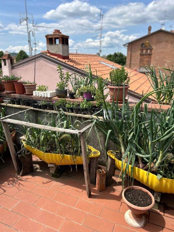 appartamento in vendita ad Arezzo
