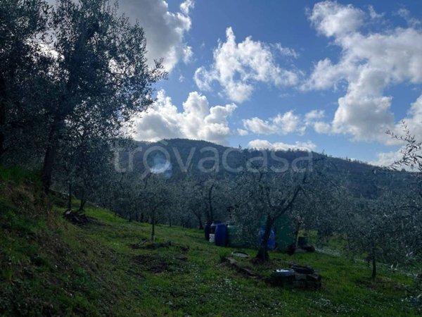 terreno agricolo in vendita ad Arezzo in zona Olmo