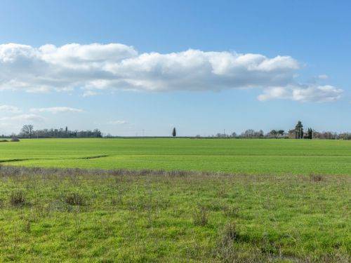 terreno agricolo in vendita ad Arezzo in zona San Zeno