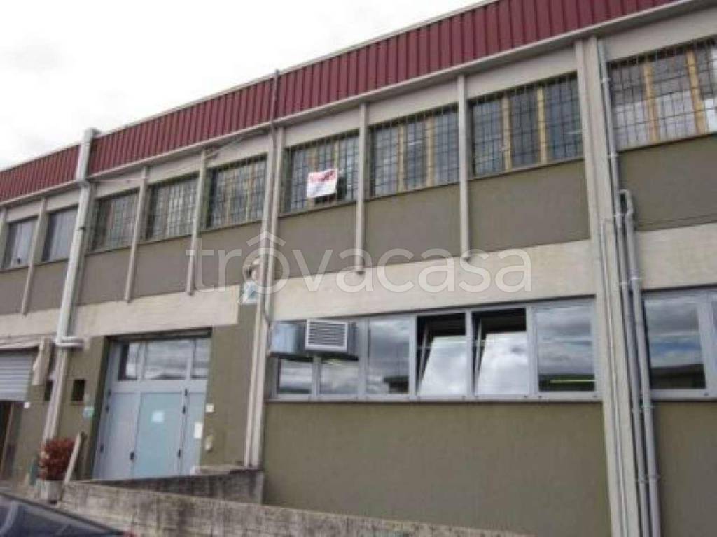 negozio in vendita ad Arezzo in zona Pescaiola