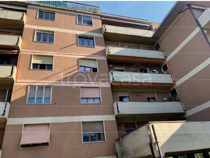 appartamento in vendita ad Arezzo in zona Pescaiola