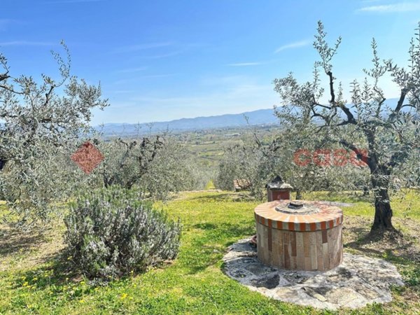 terreno agricolo in vendita ad Arezzo in zona Talzano