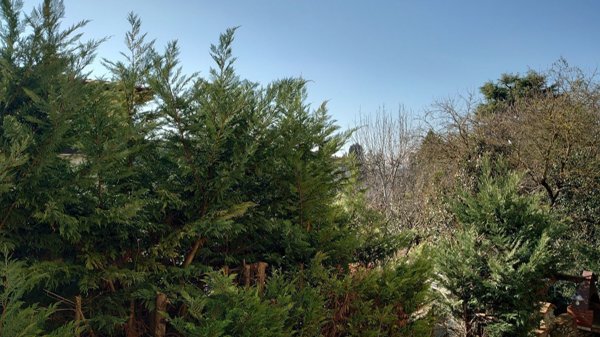 appartamento in vendita ad Arezzo in zona Centro Città