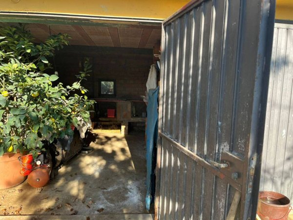 terreno agricolo in vendita ad Arezzo in zona Rigutino