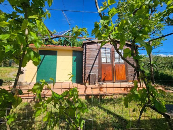 terreno agricolo in vendita ad Arezzo