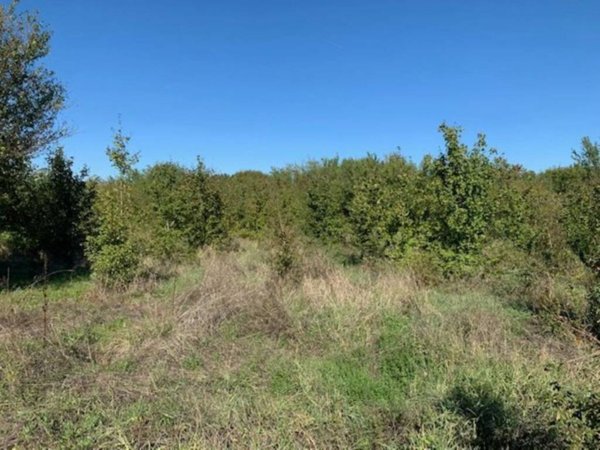 terreno agricolo in vendita ad Arezzo in zona Fiorentina