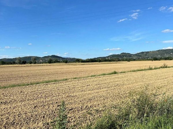 terreno agricolo in vendita ad Arezzo in zona Rigutino
