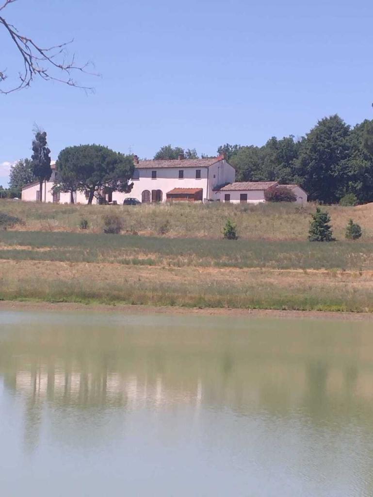 casa indipendente in affitto ad Arezzo