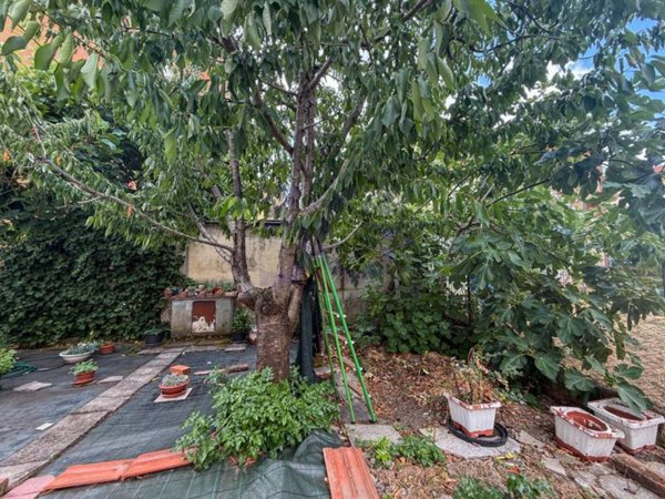 appartamento in vendita ad Arezzo in zona Ceciliano