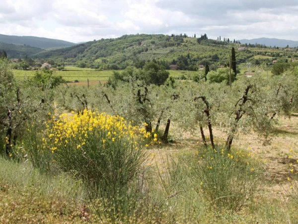 terreno agricolo in vendita ad Arezzo in zona Quarata