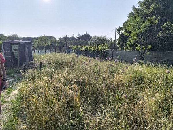 appartamento in vendita ad Arezzo