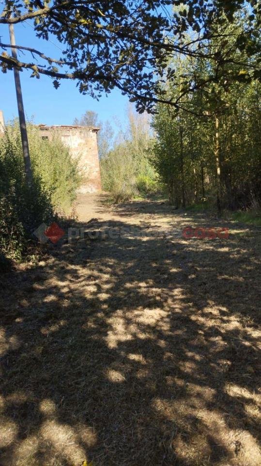 terreno agricolo in vendita ad Arezzo in zona Santa Firmina