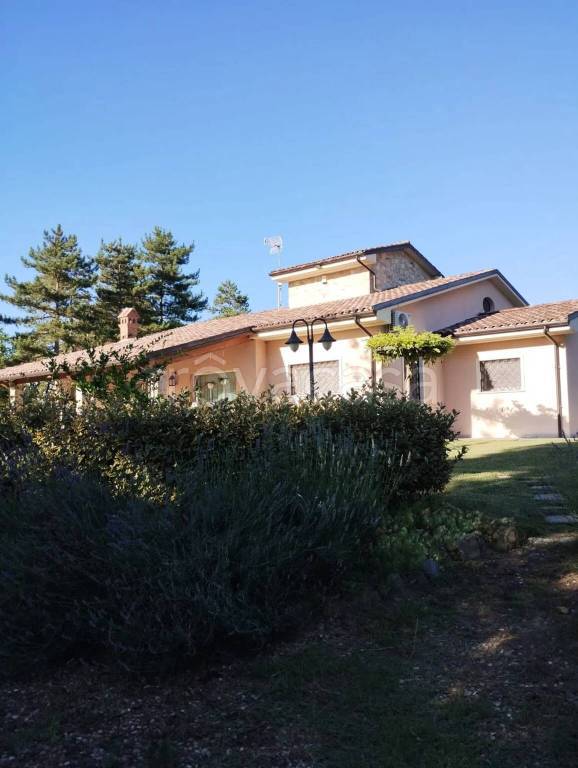 casa indipendente in vendita ad Arezzo in zona Quarata