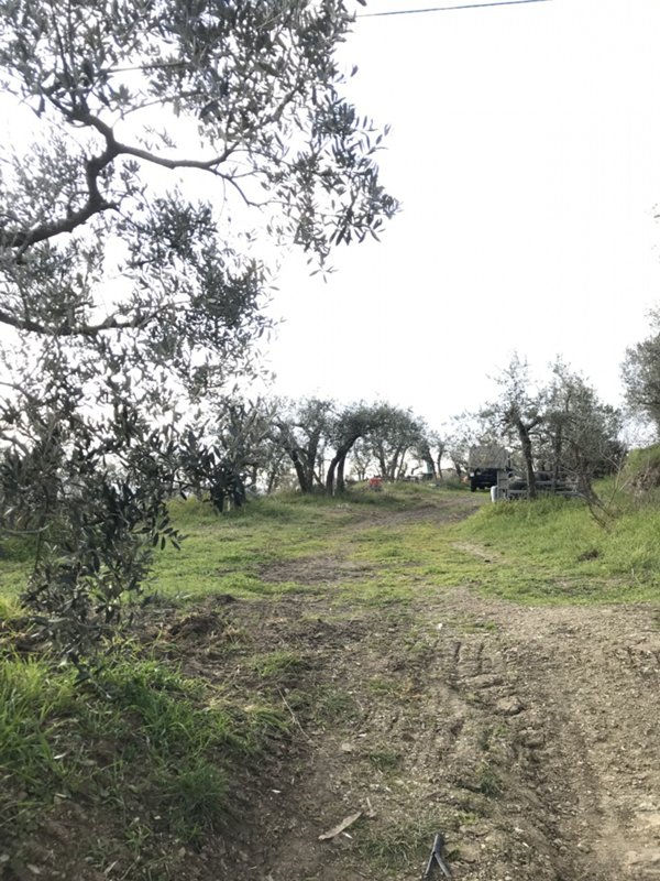 terreno agricolo in vendita ad Arezzo in zona San Zeno