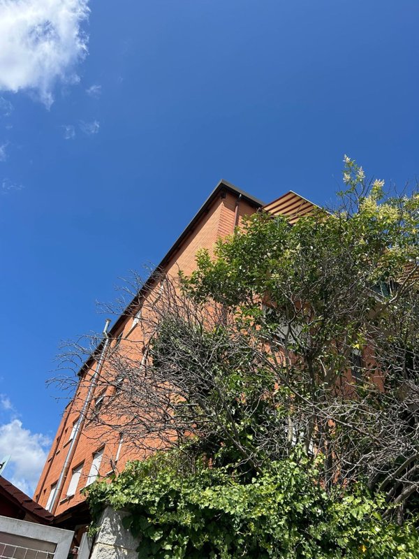 appartamento in vendita ad Arezzo in zona Pescaiola