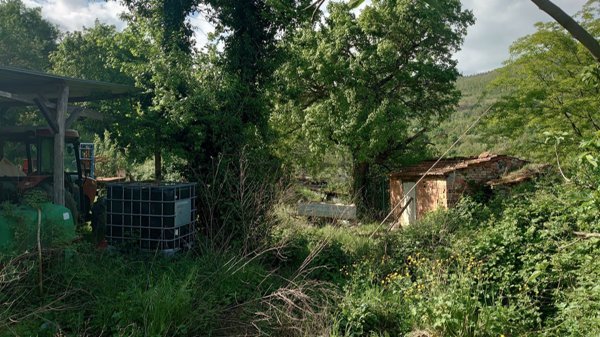 casa indipendente in vendita ad Arezzo in zona Santa Firmina