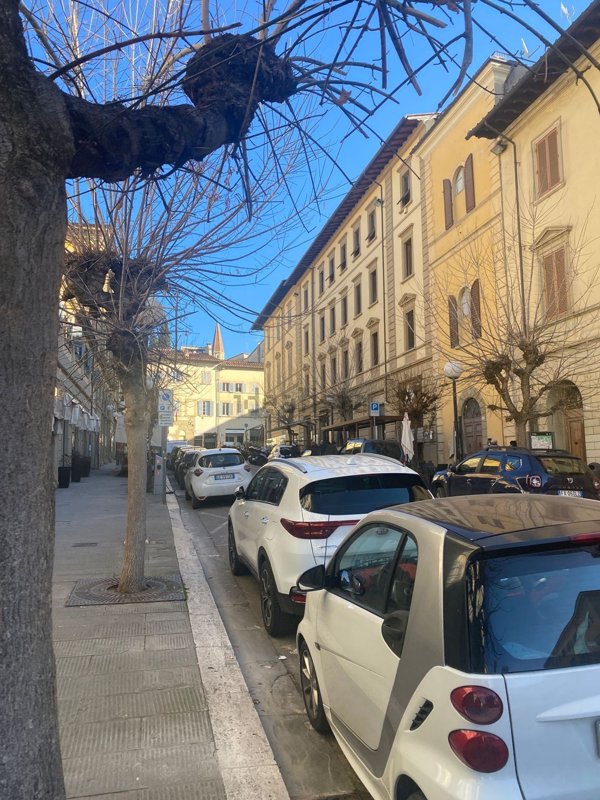 appartamento in vendita ad Arezzo