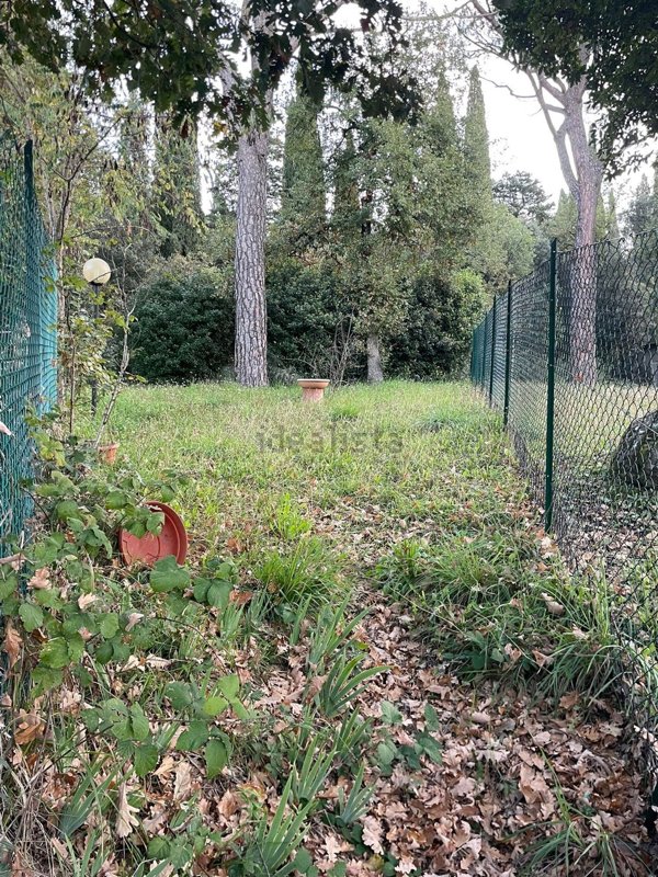 casa indipendente in vendita ad Arezzo in zona Olmo