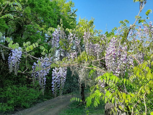 appartamento in vendita ad Arezzo