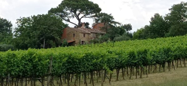 casa indipendente in vendita ad Arezzo