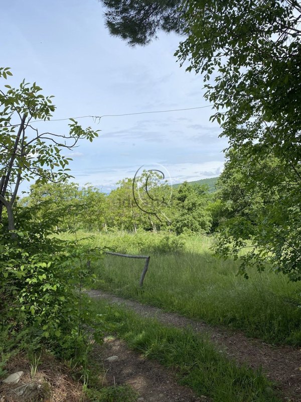 casale in vendita ad Arezzo in zona Molinelli