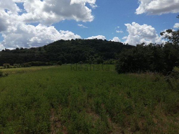terreno agricolo in vendita ad Arezzo in zona Chiani