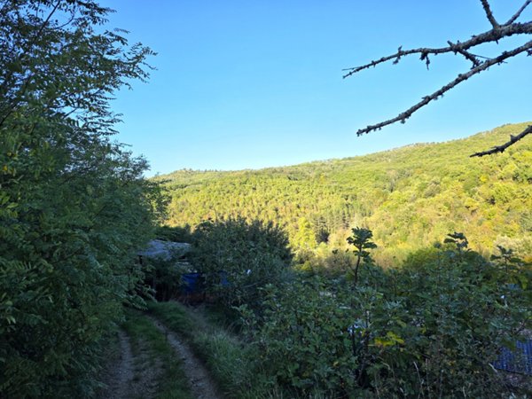 casa indipendente in vendita ad Arezzo in zona Gragnone