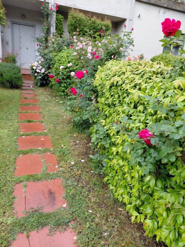 casa indipendente in vendita ad Arezzo