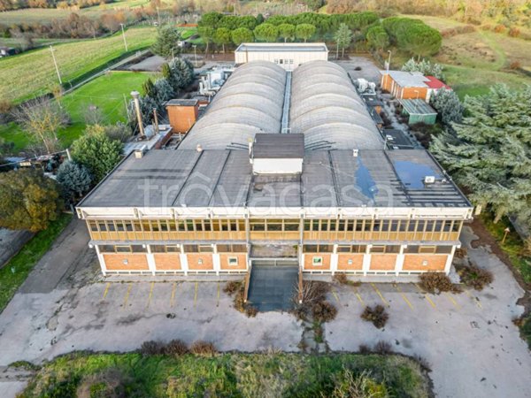 capannone in vendita ad Arezzo in zona Rigutino