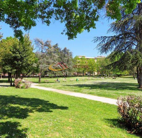 appartamento in vendita ad Arezzo